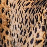 Namibie