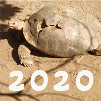 Senegal-2020