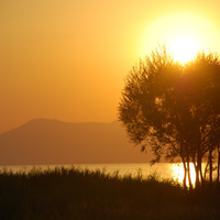 Turquie