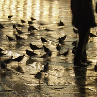 Venise