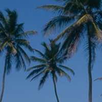 Republique-dominicaine